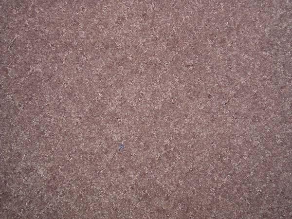 Commercial Carpet Raminate KOL 153 (12 X 18) Tan Pin Dot 